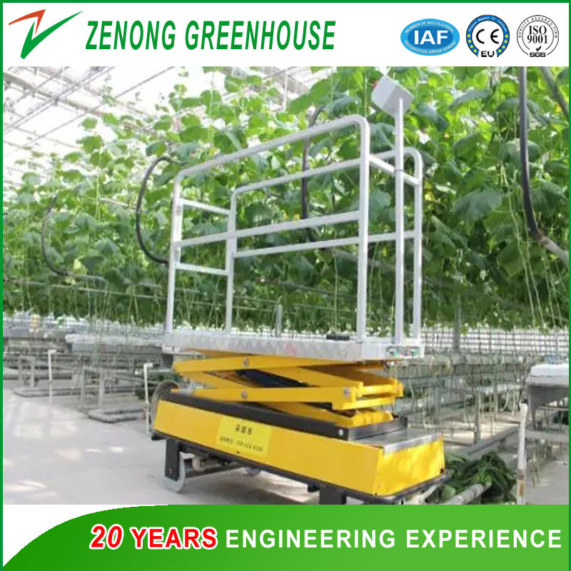 High Safety Hydraulic Elevating Work Platform for Picking up Fruits/Vegetables