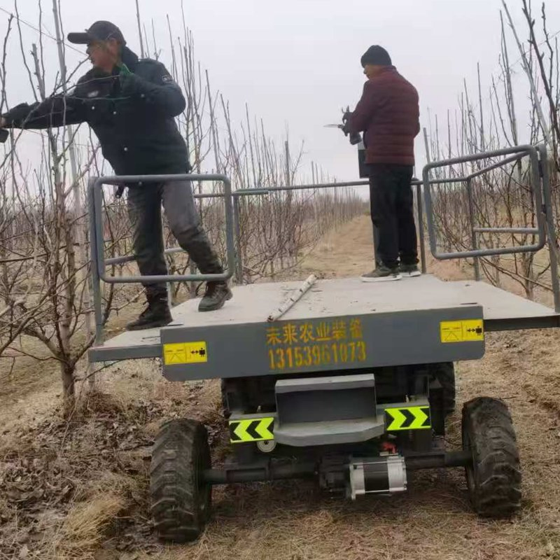 Agricultural Lift Picking Platform Suitable for Apple/Pear/Citrus Orchards