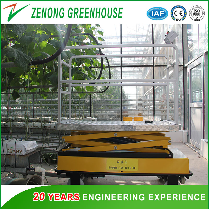 High Safety Hydraulic Elevating Work Platform for Picking up Fruits/Vegetables