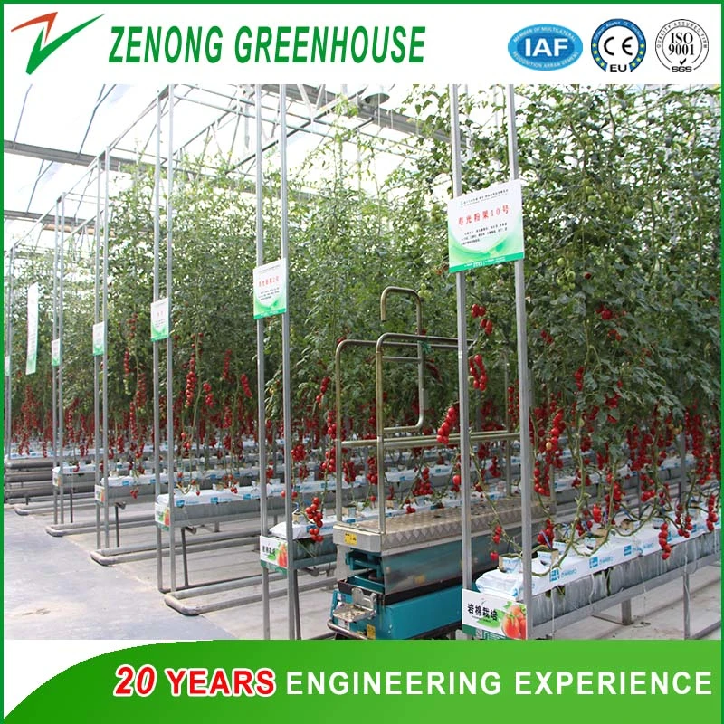 High Place Fruit Picking Platform for Agriculture