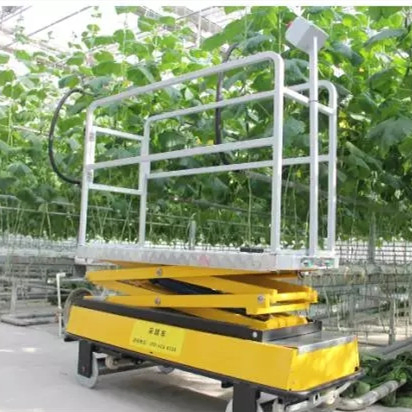 Lifting Platform for Greenhouse Vegetable Fruit Picking