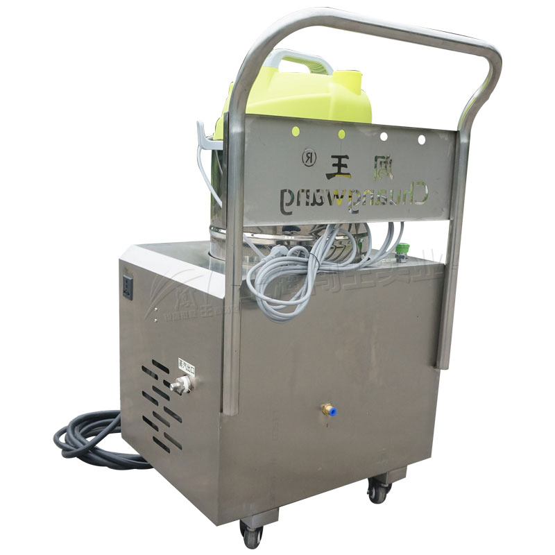 Smart Home Heated Carpet Washing Cleaner Machine Steam Vacuum Extractor Injector for Effective Dust Mite Removal Carpet Sofa