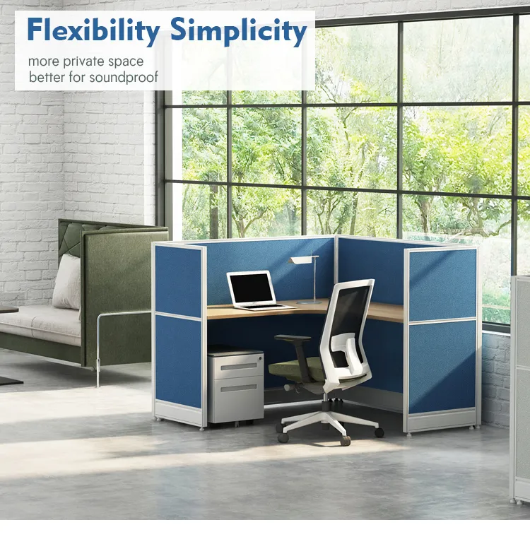 Partition Workstation 1