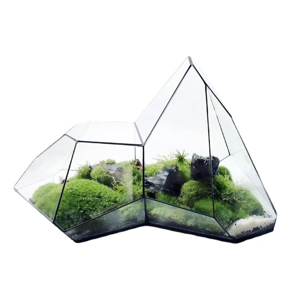 Home Decoration Crafts Creative Miniature Landscape Container Garden Decor Simple Living Room Ornaments Interior Accessories
