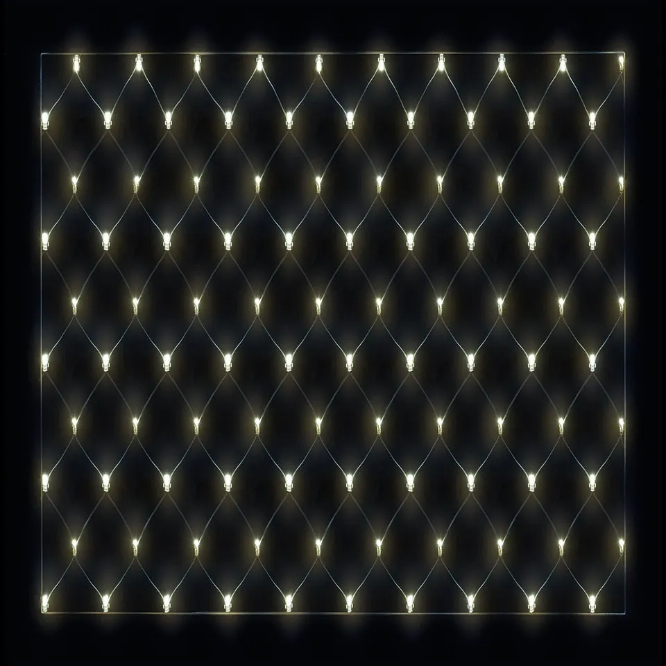 LED Net Light Detail