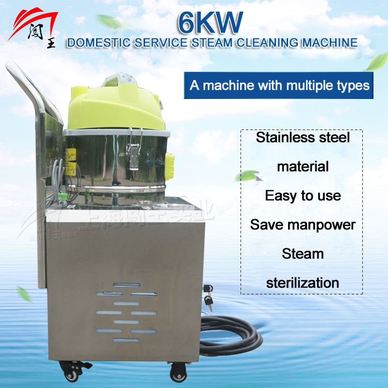 Smart Home Heated Carpet Washing Cleaner Machine Steam Vacuum Extractor Injector for Effective Dust Mite Removal Carpet Sofa