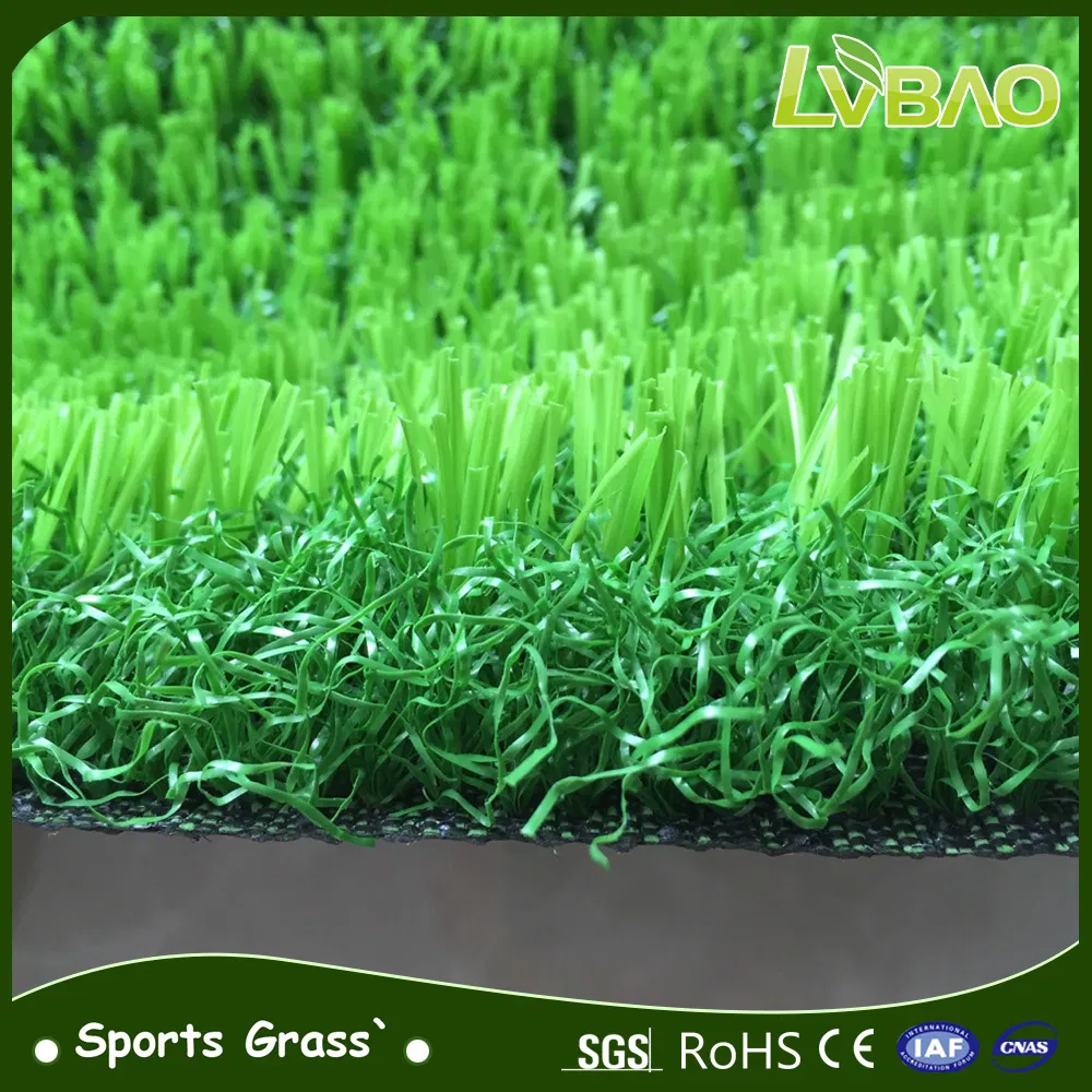Artificial Grass Detail