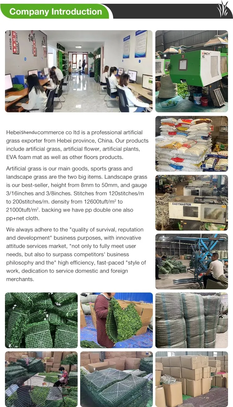 Indoor Outdoor Grass