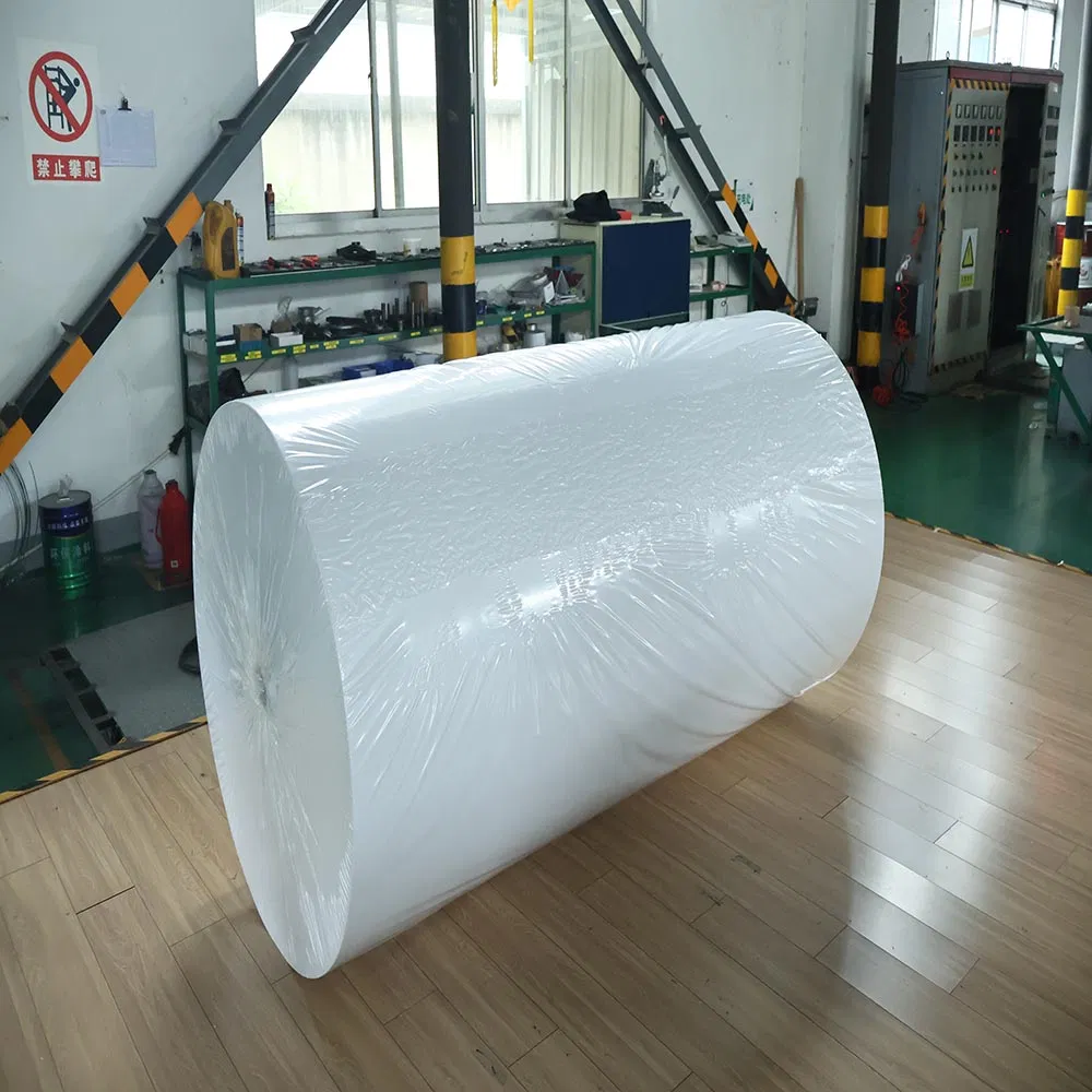 Chinese PP Spunbonded Nonwoven Home Textile