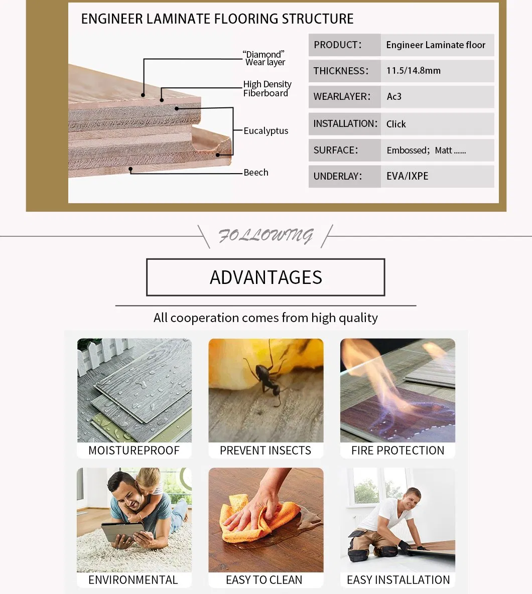 Flooring Installation