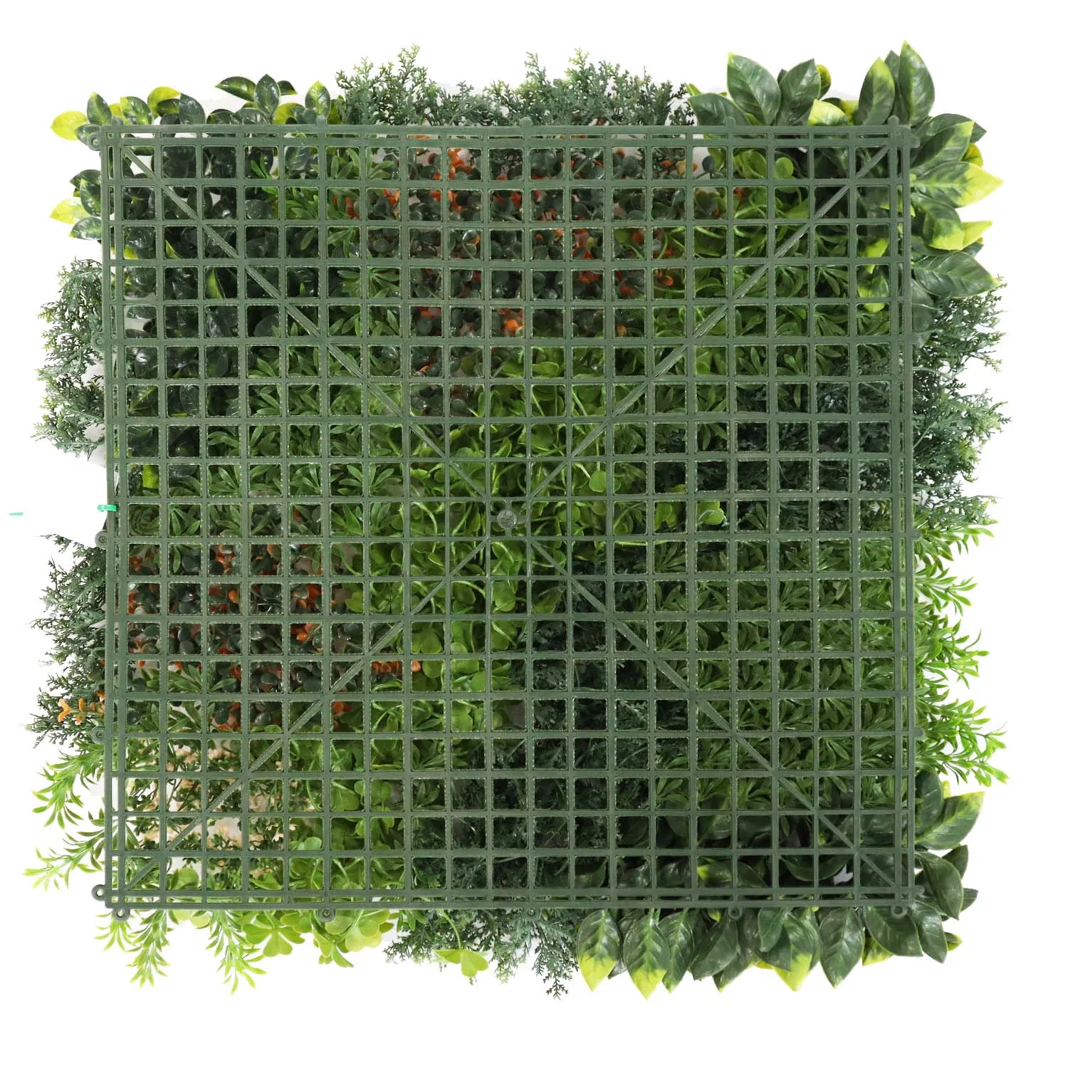 Environmental Friendly High Quality Industry Leading Synthetic Plastic Green Wall with PE