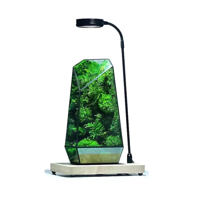 Decorative Hydroponic Vase