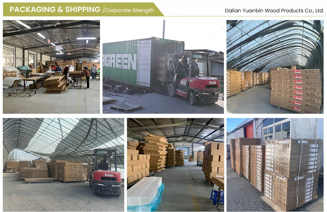 Shipping and Logistics