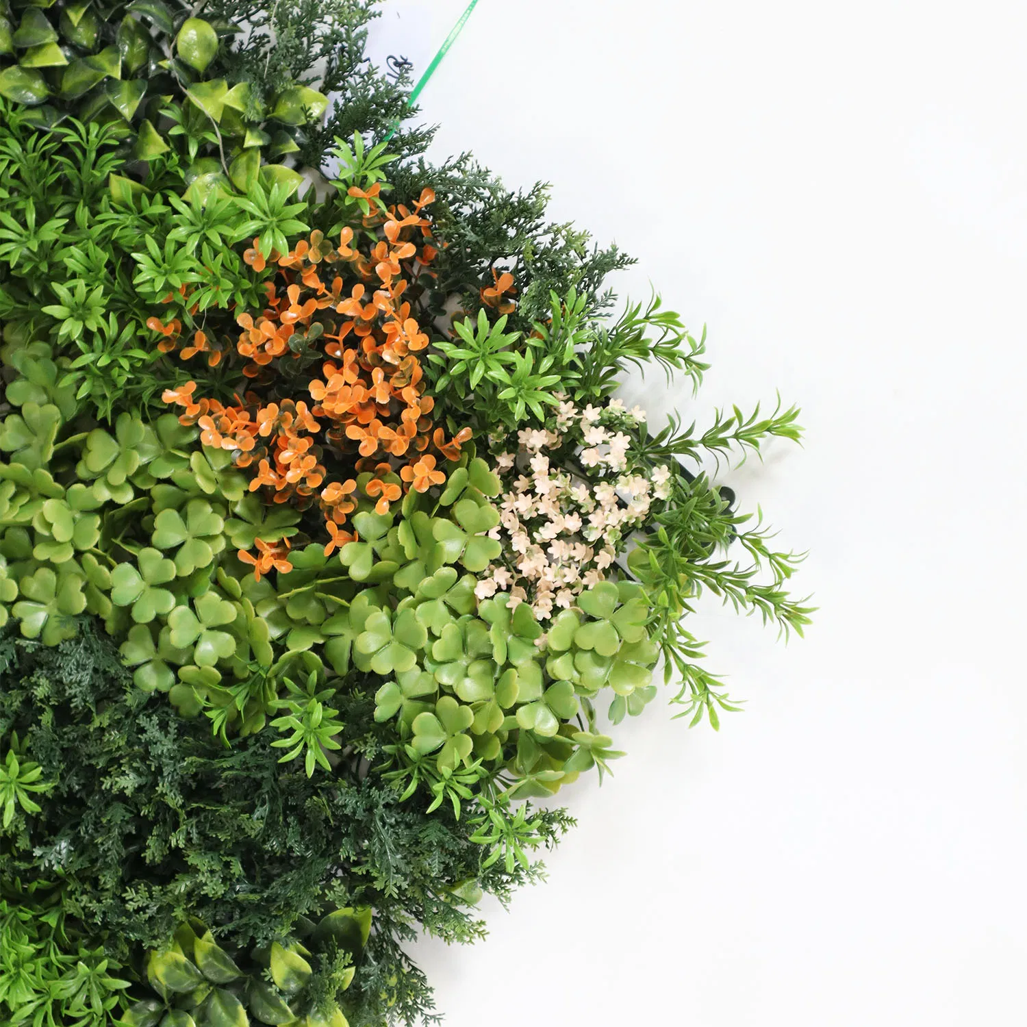 Environmental Friendly High Quality Industry Leading Synthetic Plastic Green Wall with PE