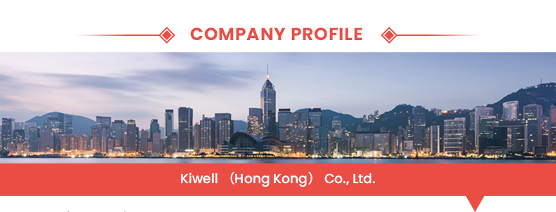 Company Overview
