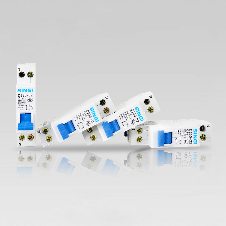 DZ30-32 Phase Line+neutral Line Miniature Circuit Breaker 3kA 32A 1P+N DPN Mcb