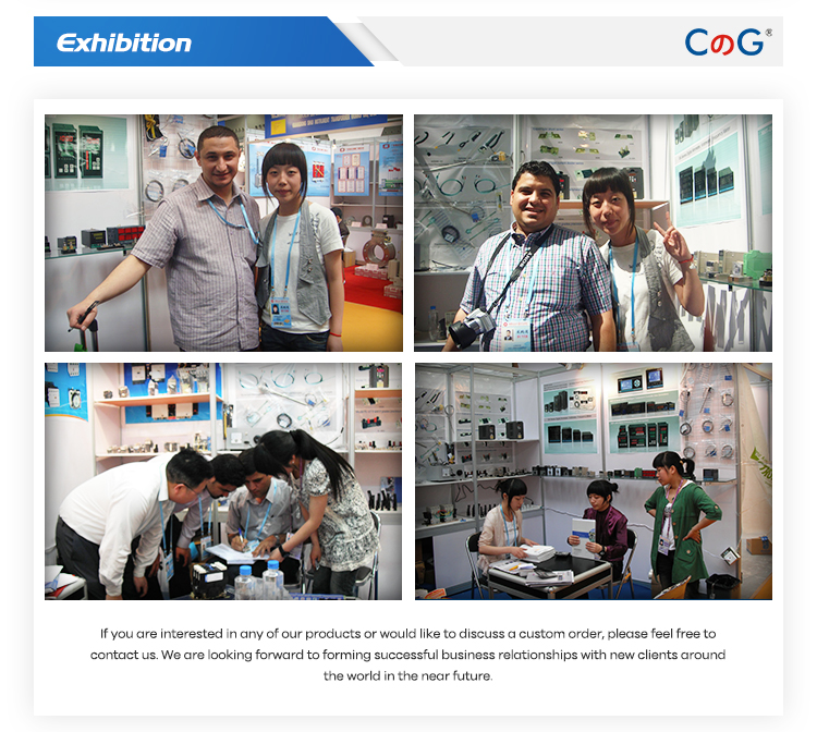 Global industry exhibitions participated