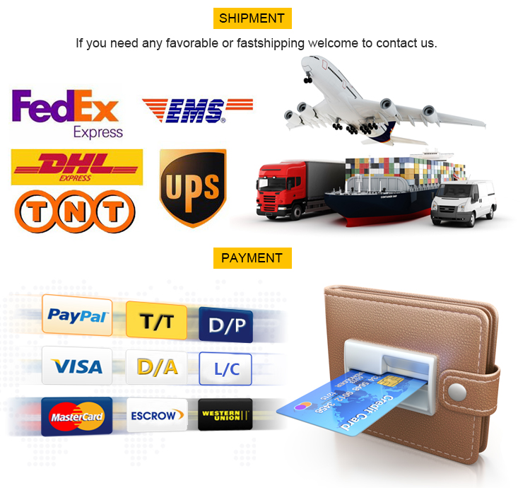Shipment & Payment Info