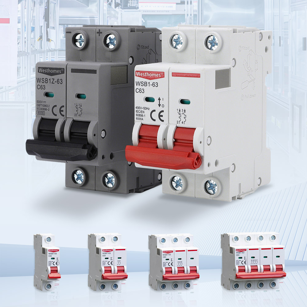 AC Miniature Circuit Breaker 1P 2P 3P 4P Best Quality Single Pole Disjoncteur DIN Rail Type C10 25A 40A 63A CB MCB Rated Current