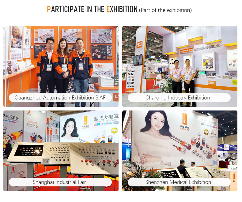 Exhibition Show