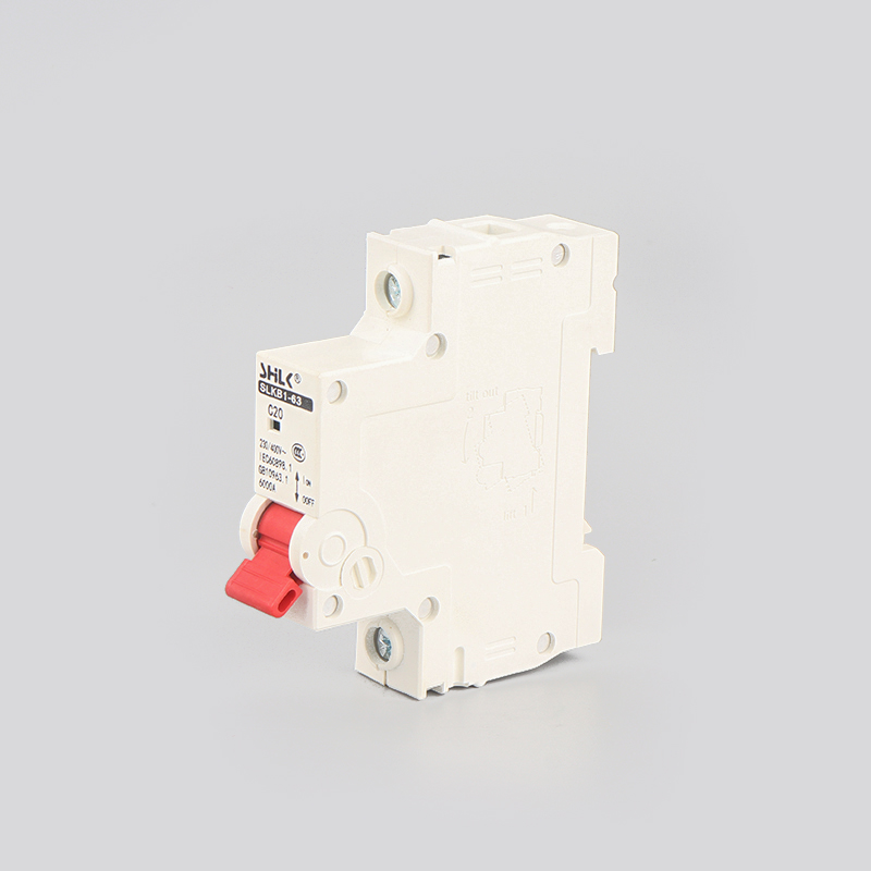 Factory Wholesale Ourili ORLB1-63/1P Miniature DC Circuit Breaker 3A-63A 1P 250V Rated Voltage PA66 6kA Breaking Capacity B/C