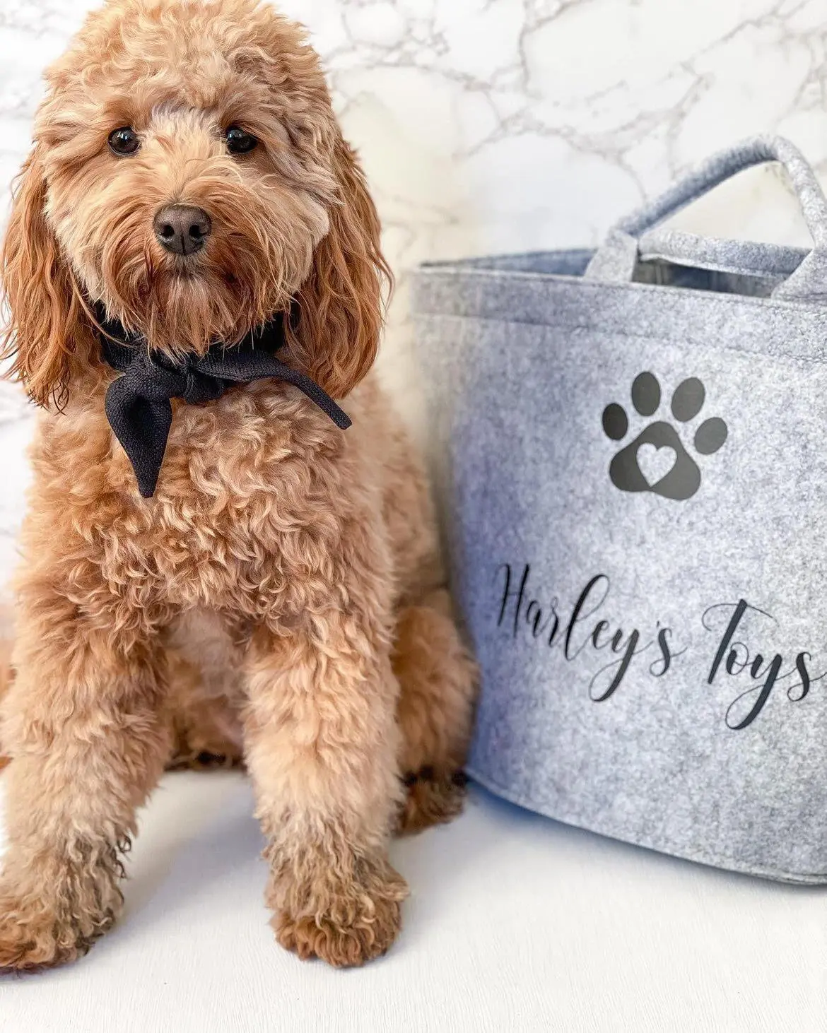 ODM Hot selling Product: Dog Toy felt  Storage Manufacturer, Pricelist