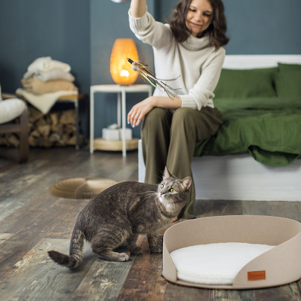Felt Cat Bed Design 6