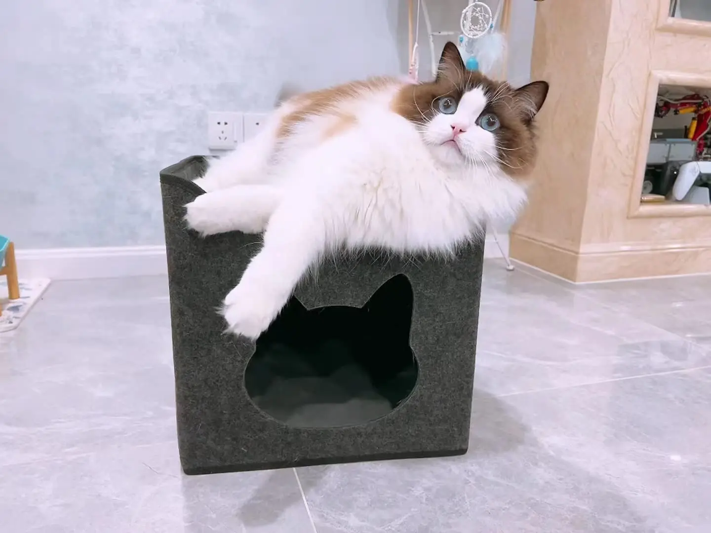 China Hot Selling Pet Cat House Removable cat Cave Bed Natural Felt Nest for Pet Cat Quotes, Company