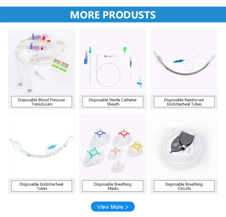 Product Feature Details