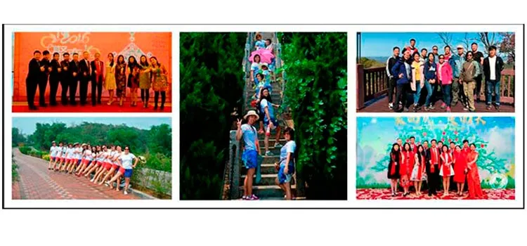 Professional Team Group