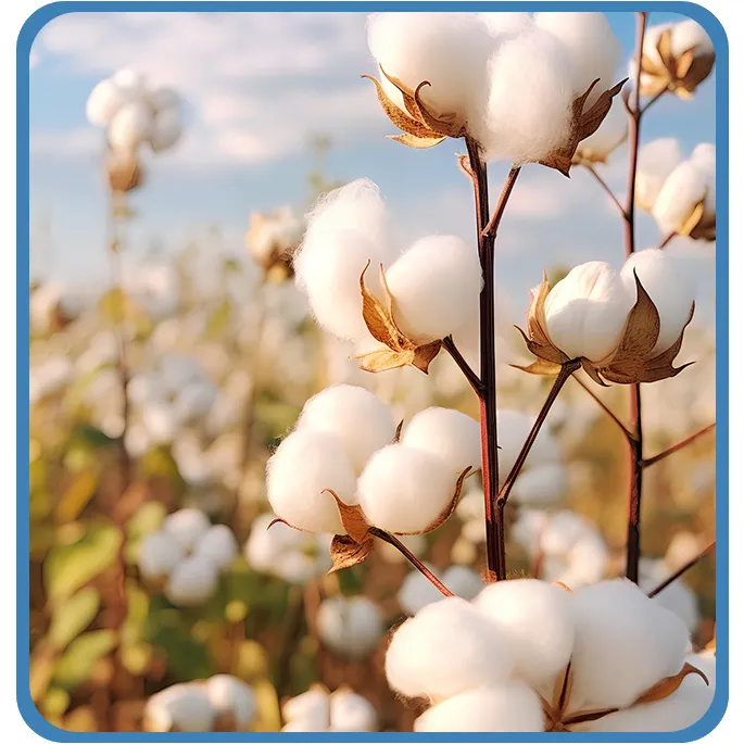 Skin Friendly Fabric