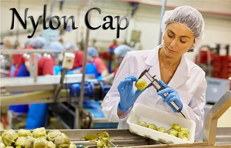 Disposable Black Hair Net Mesh Cap