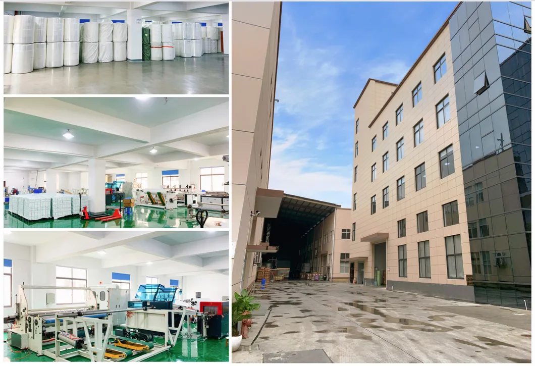 Disposable Compressed Dry Towel Packaging