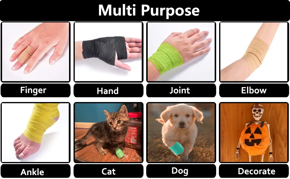Bandage Application Pets