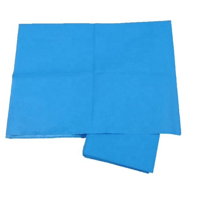 Premium Waterproof Disposable Pillow Cover for Travel and Home