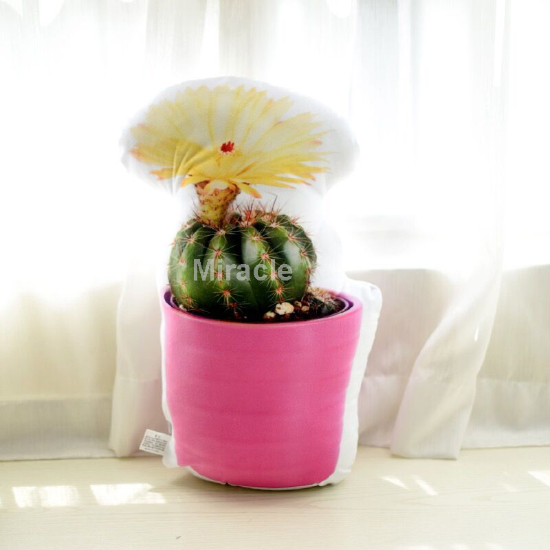 Flower Shape Plush Pet Pillow Custom Furry Animal Shape Cushion Pillow Covers