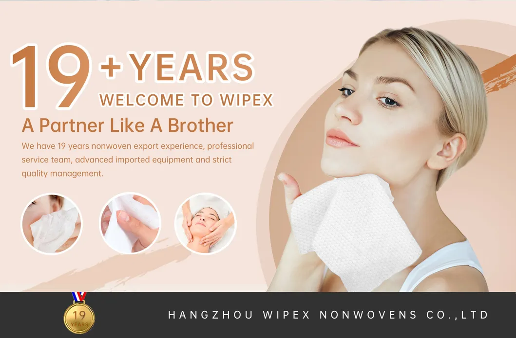 Biodegradable Disposable Towel