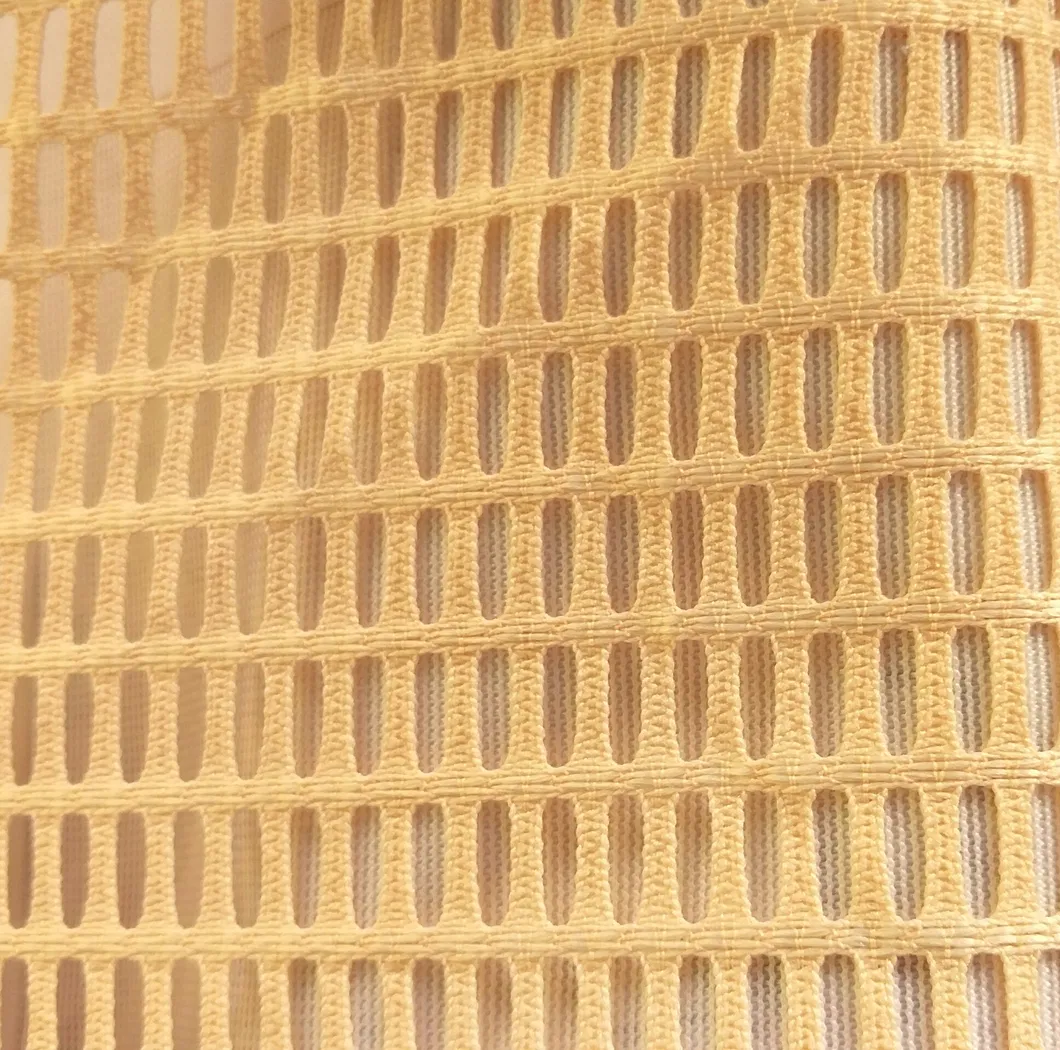 Mesh Detail