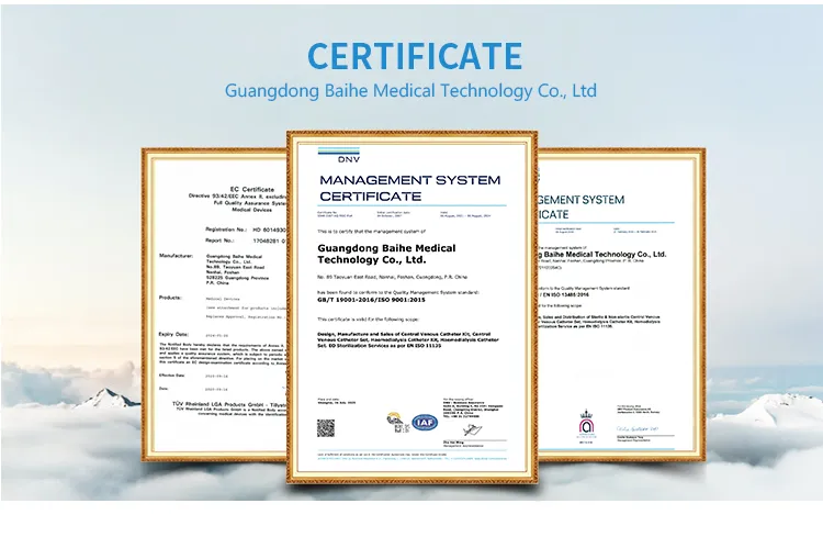 CE ISO Certification