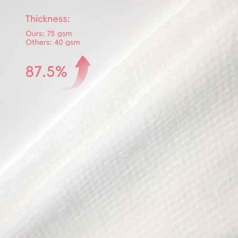 Compressed Towel Travel