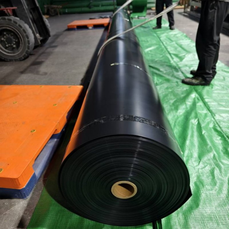 High-Quality 2mm HDPE Geomembrane Black ASTM Standard Landfill Liner for Sale Durable Waste Containment