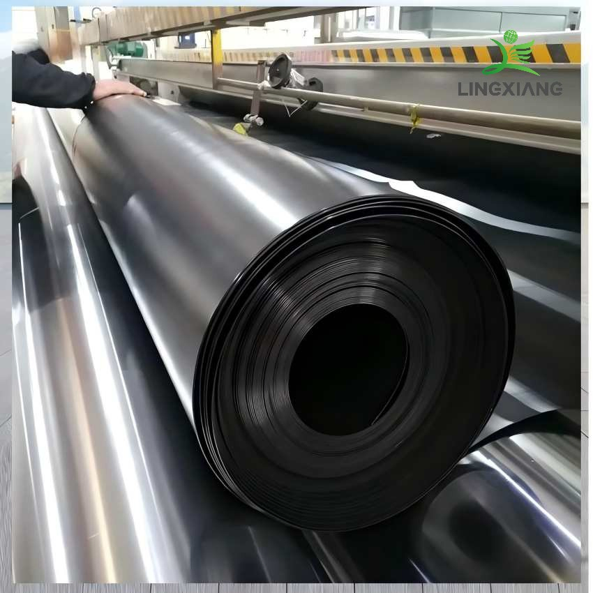 High-Quality Biogas Pond Liner for Reliable Agricultural Waste Containment Dam Landfill Lake Biogas Mining Fish Shrimp Farm Pond Liner Swimming Pool Agricultura