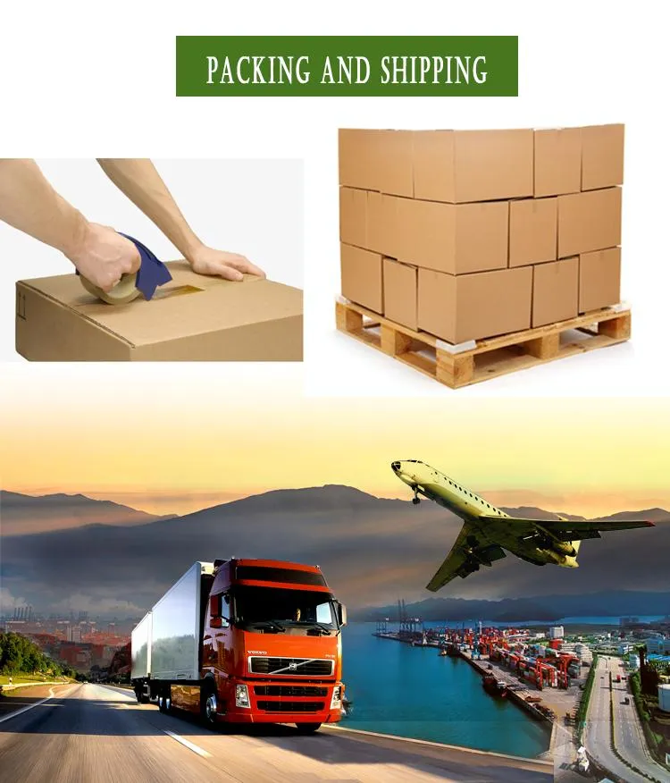 Food Packaging Detail 12