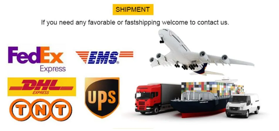 Warehouse and Logistics