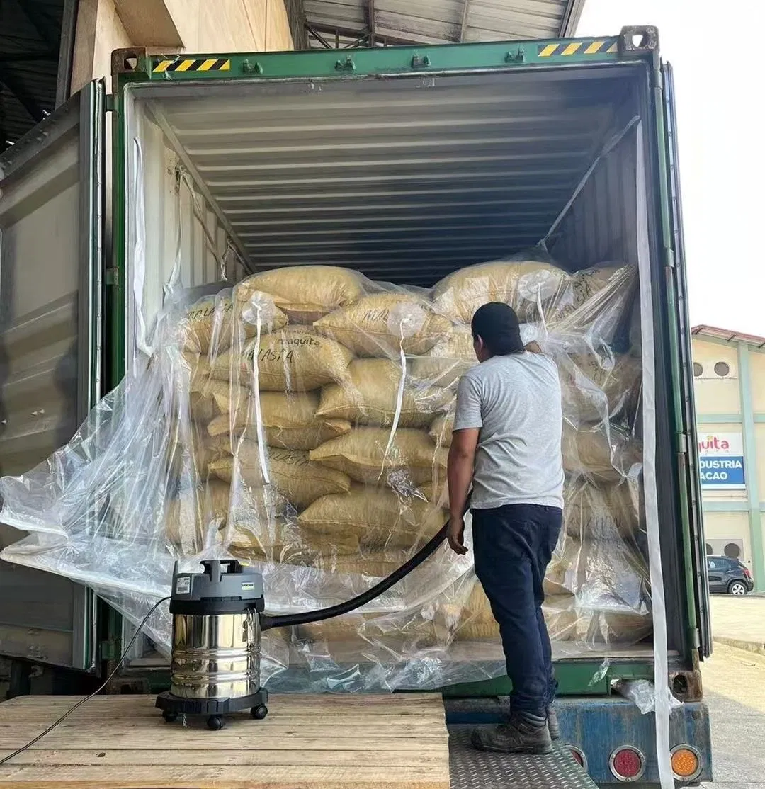 PE Container Liner Dry Jumbo Bag for Powders and Granules