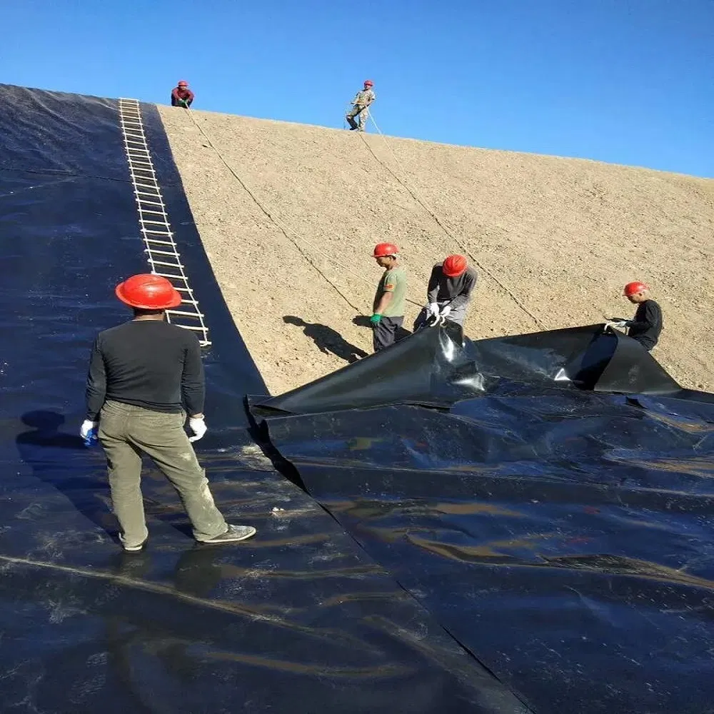 Fish Farm Pond Landfill 1mm/1.5mm/2.0mm Waterproof HDPE Geomembrane Manufacturer Pond Liner for Landfill Dam Water Containment