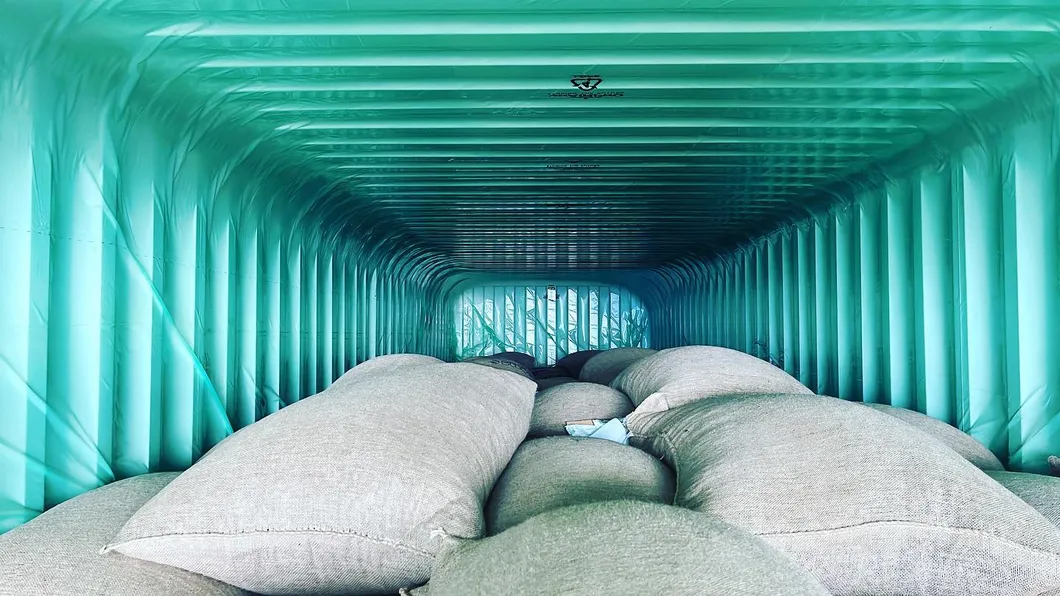 PE Container Liner Dry Jumbo Bag