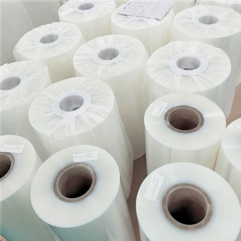 Multi Layer High Barrier PA/EVOH/PE Co-Extrusion Film