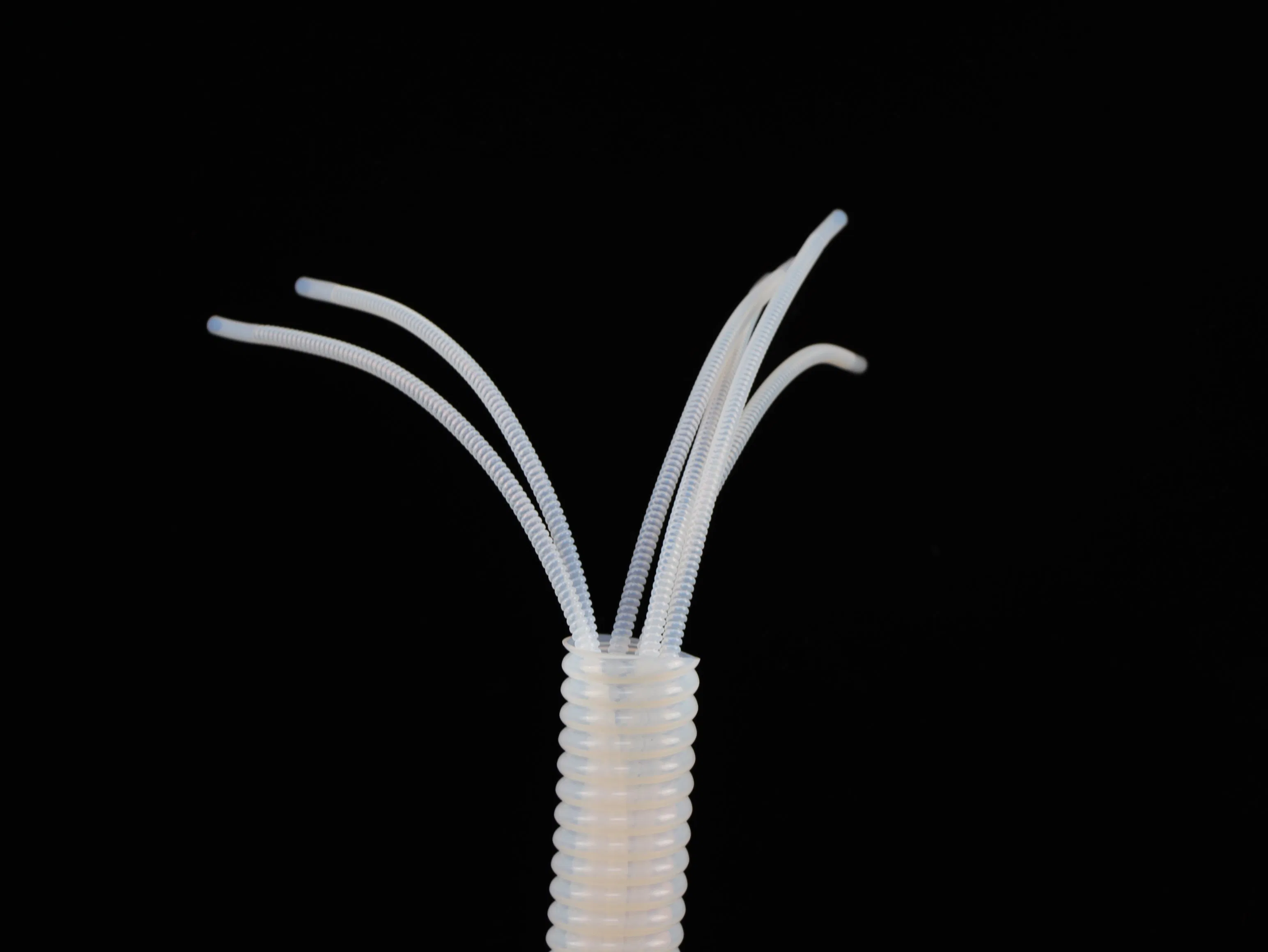 PTFE Tube Used Milk Drinks and Other Tubes Non Toxic Food Grade PTFE Te Flon Tubing