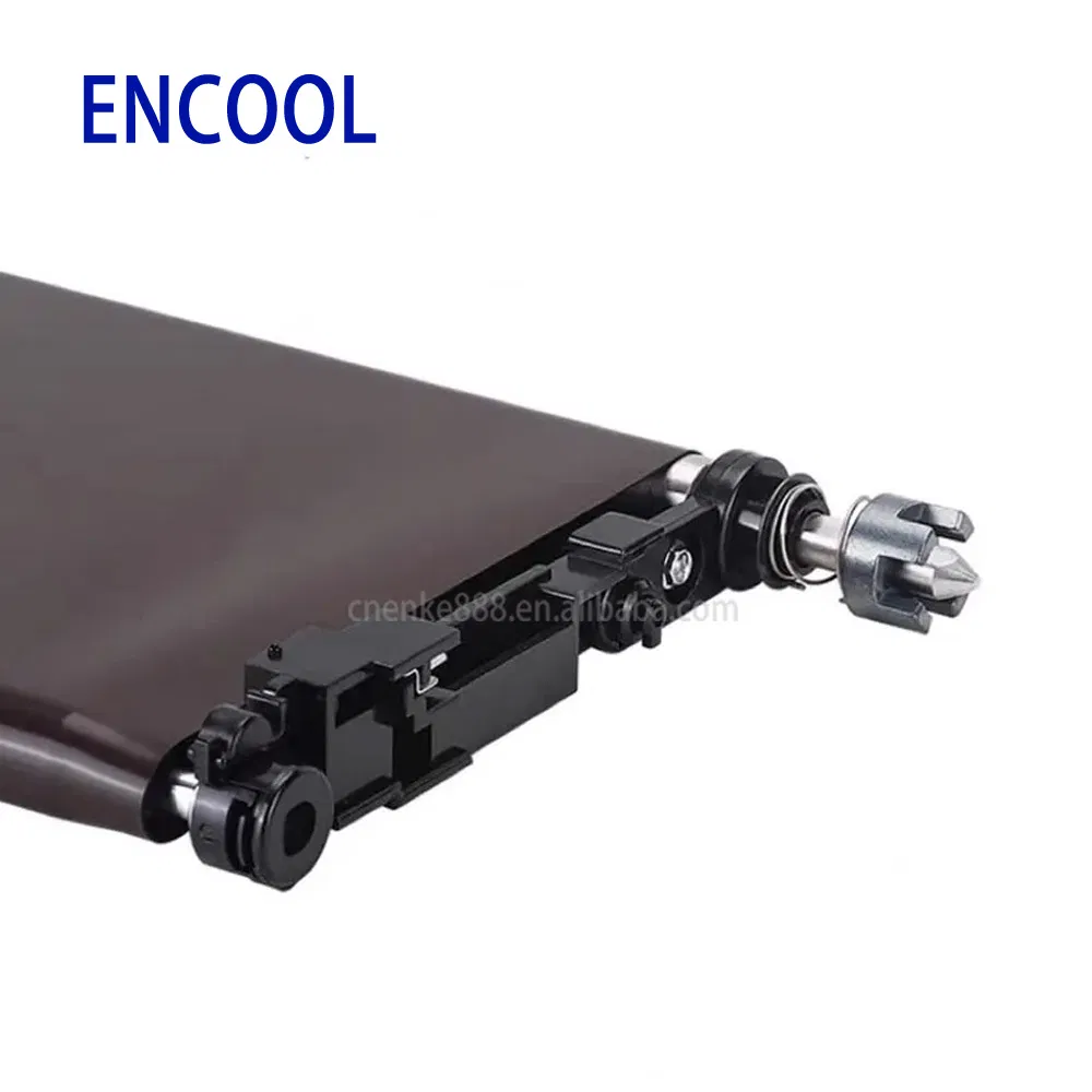 Transfer Belt Assembly 5